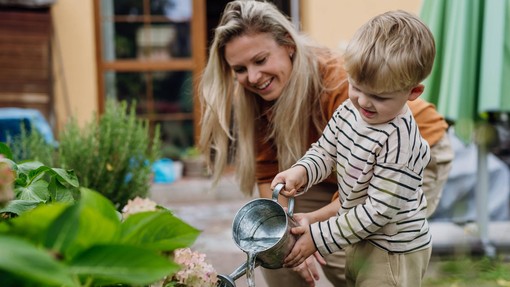 To je najlepši rožni grm, ki ga lahko imate na dvorišču ali vrtu: nega je nezahtevna, ko ga posadite, vam bo bujno cvetel vse do pozne jeseni
