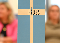 Fides ostro nad odlok, ki ga je sprejela vlada: ta je določila storitve, ki jih morajo zdravniki opravljati v času stavke