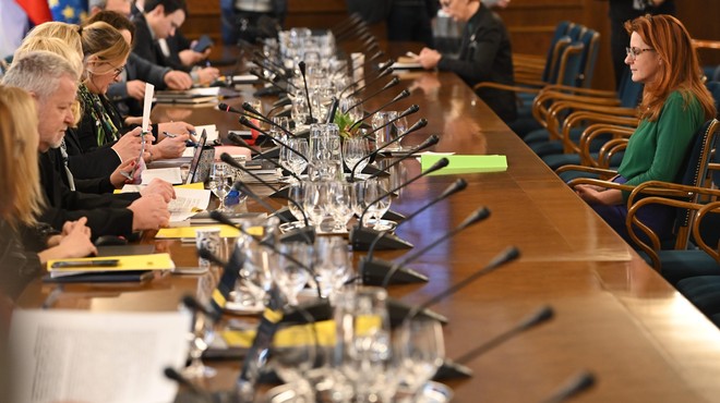 Odbor DZ končal zaslišanje: kako je opravila Andreja Katič? (foto: Žiga Živulovič jr./Bobo)