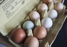 Kaj se zgodi z našim telesom, če vsak dan jemo jajca? (Odgovor vas bo presenetil)