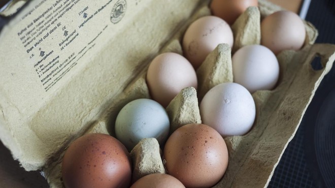Kaj se zgodi z našim telesom, če vsak dan jemo jajca? (Odgovor vas bo presenetil) (foto: Profimedia)