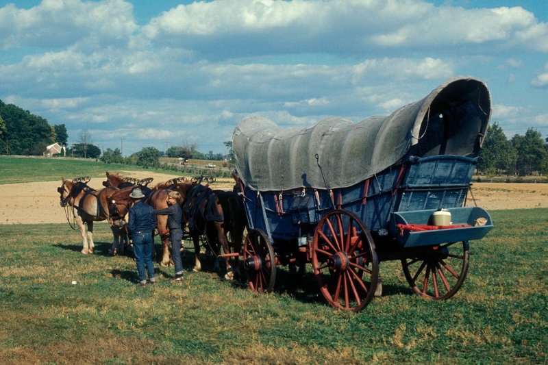 Voz Conestoga