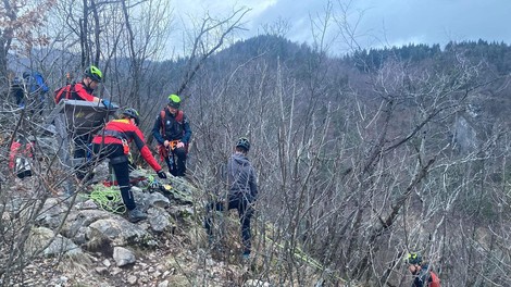 živali pes iskanje psa reševanje prepad