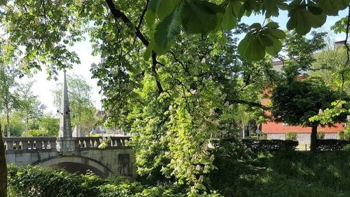 Sprehod po zeleni oazi sredi Ljubljane: tu se čas ustavi, turisti pa je na srečo še niso odkrili