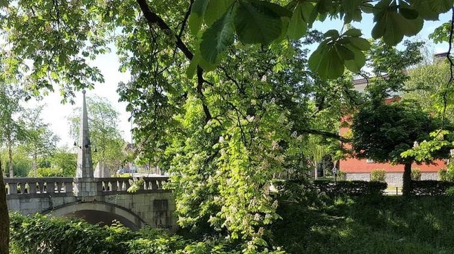 Sprehod po zeleni oazi sredi Ljubljane: tu se čas ustavi, turisti pa je na srečo še niso odkrili (foto: Ma.Po.)