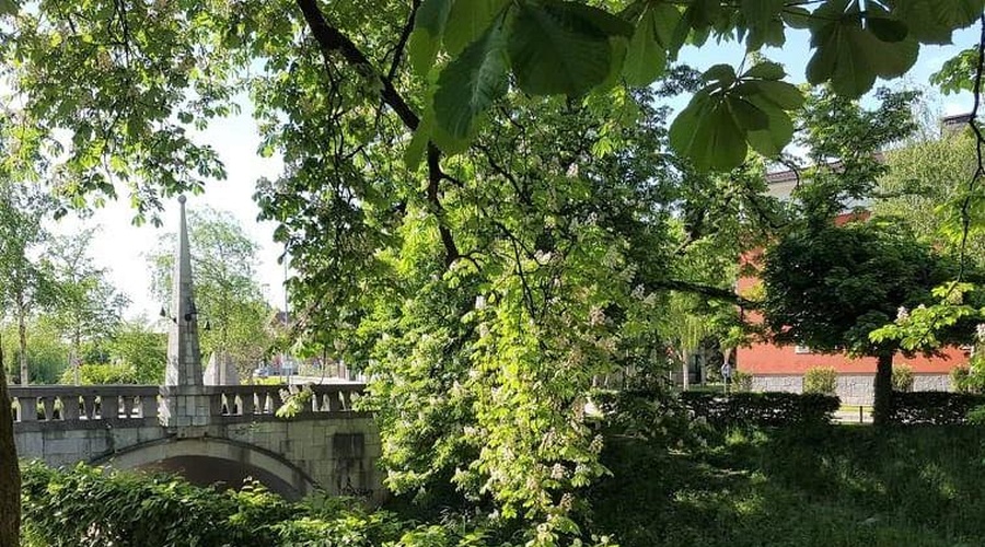 Sprehod po zeleni oazi sredi Ljubljane: tu se čas ustavi, turisti pa je na srečo še niso odkrili (foto: Ma.Po.)
