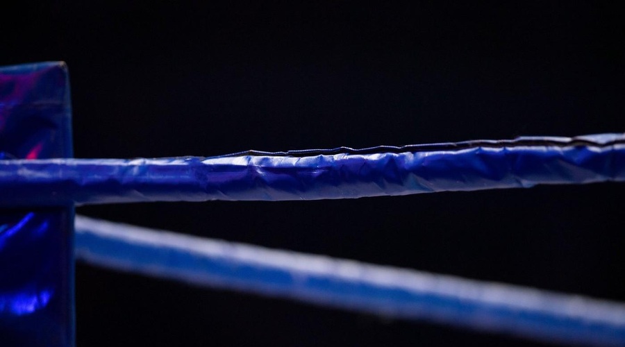 Boksarska legenda se vrača v ring, spopadel pa se bo z znanim youtuberjem (foto: Profimedia)