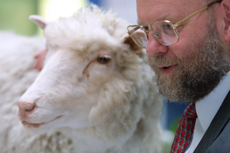 Najbolj znana klonirana žival je ovca Dolly.