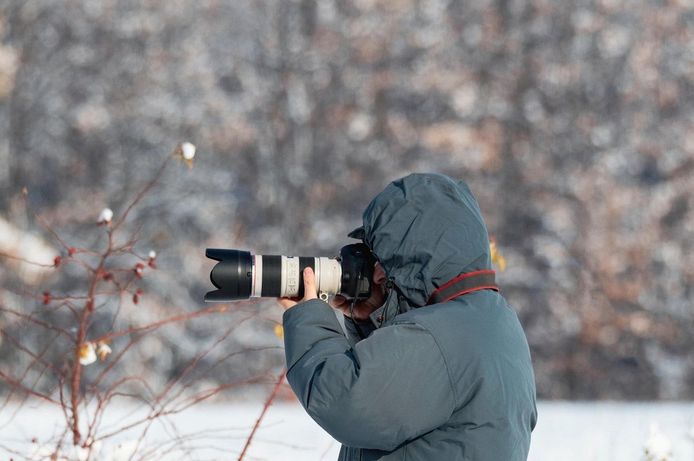 Presrečni fotograf ujel fotografijo svojega življenja: ste že videli bolj ljubko bitje? (foto: Profimedia)