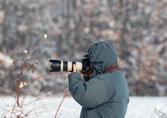 Presrečni fotograf ujel fotografijo svojega življenja: ste že videli bolj ljubko bitje?