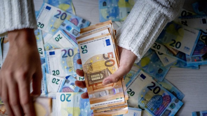 Napaka vlade, ki nas bo drago stala: Slovenija mora plačati 800.000 evrov (foto: Profimedia)