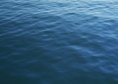 Več dni ujeti sredi morja brez hrane in vode: umrlo najmanj 60 ljudi