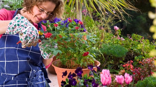 FOTO: S temi 8 vrstami rož (ki jih je enostavno gojiti) bo vaše dvorišče zasijalo