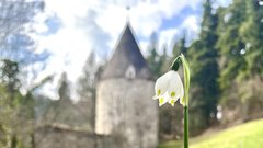 Izjemno energijsko močan kraj v Sloveniji, kjer se občuti pravo spokojnost