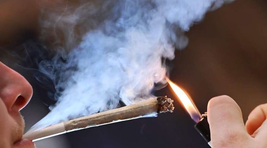 Legalizacija konoplje vse bližje uresničitvi (foto: Profimedia)