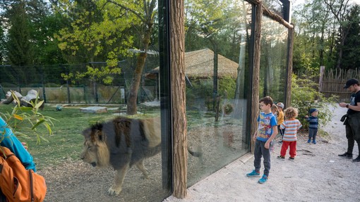 V živalskem vrtu na ogled dve novi ogroženi vrsti