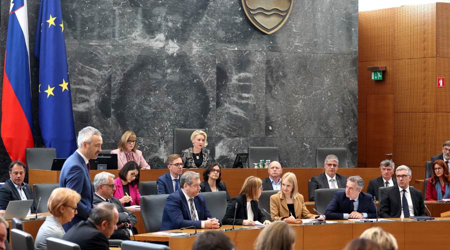 Sejo v državnem zboru prekinili protestniki, kaj je razlog? (FOTO) (foto: Borut Živulović/Bobo)