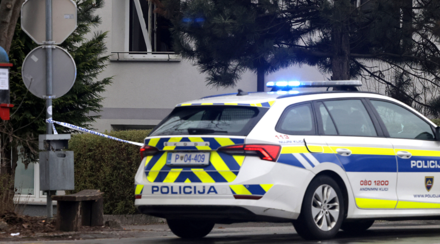 Grozljivka v Sevnici: moški z motorno žago napadel policista (foto: Bobo)