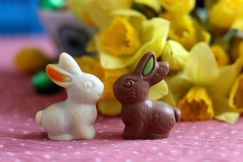 Čokoladni zajčki so mnogo bolj primerno darilo, kot pa živa bitja.