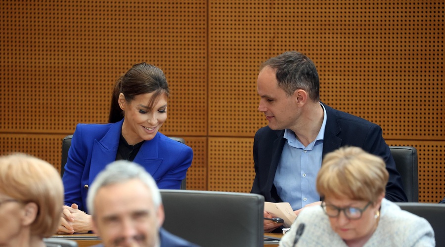 Kaznovani SDS-ovi poslanci so se morali preseliti v zadnjo klop. In razlog? (foto: Borut Živulović/Bobo)
