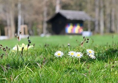 Alarm za vrtičkarje: na nebu se kuha nevarnost