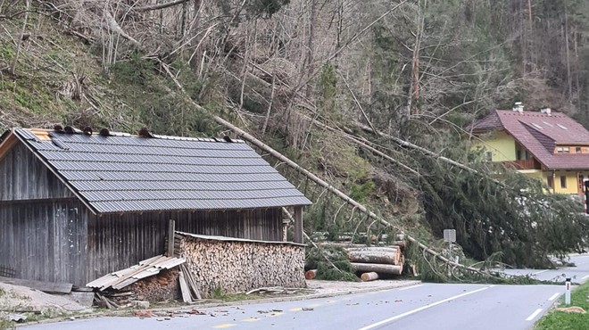 Zgornja Savinjska dolina zopet na udaru: veter podiral drevesa, več ur zaprta cesta med Ljubnim ob Savinji in Lučami (foto: Facebook/Jure Funtek)
