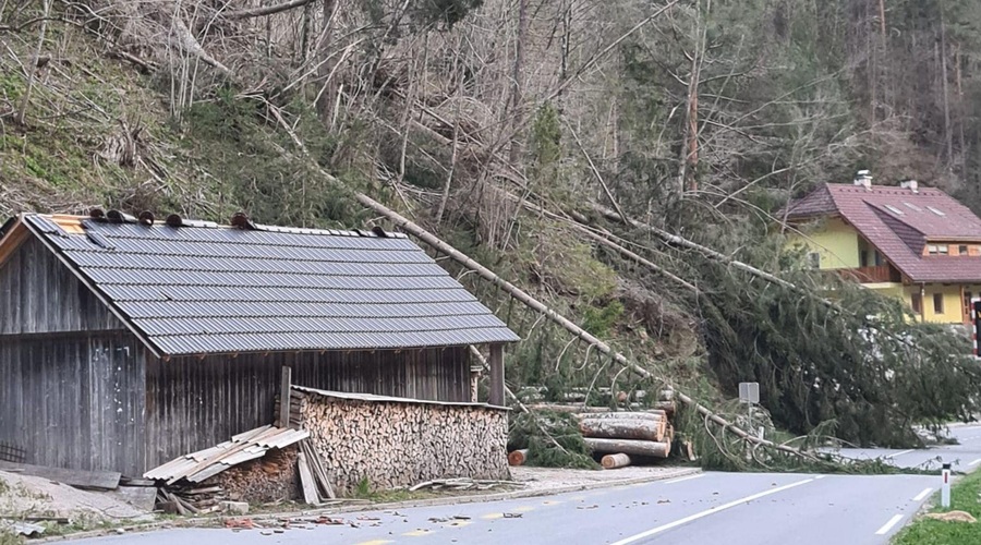 Zgornja Savinjska dolina zopet na udaru: veter podiral drevesa, več ur zaprta cesta med Ljubnim ob Savinji in Lučami (foto: Facebook/Jure Funtek)