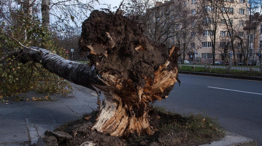 Fotografija je simbolična. (foto: Profimedia)