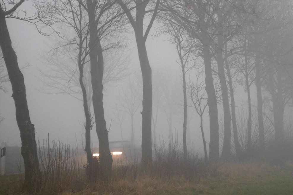 Fotografija je simbolična. (foto: Profimedia)