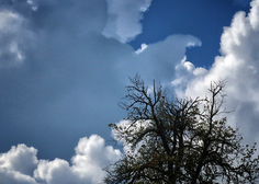 Vremenska napoved: če se bomo ozrli v nebo, lahko pričakujemo posebne oblake
