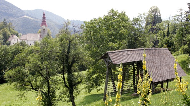 V Sloveniji jih je v izobilju, a njihova kulturna vrednost je velikokrat spregledala (foto: Tina Kosec/Bobo)