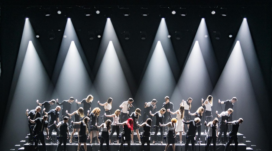 Sklepno dejanje letošnjega Radljevanja: ekskluzivni koncert vokalne atrakcije Perpetuum Jazzile (foto: Simone di luca)