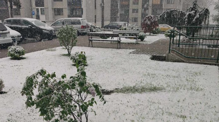 Kaj nam bo prineslo vreme? Popoldne in zvečer se bo sneg spustil do ... (foto: Posnetek zaslona/Facebook profil Neurje.si)