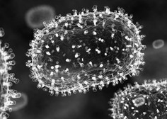 GLOBALNA GROŽNJA: odkrili novo mutirano vrsto mpoxa, ki ima 'potencial pandemije'