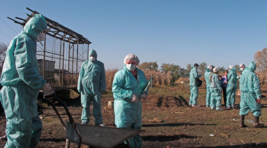 Fotografija prikazuje ukrepe zaradi ptičje gripe v Sloveniji, leta 2005. (foto: Bobo)