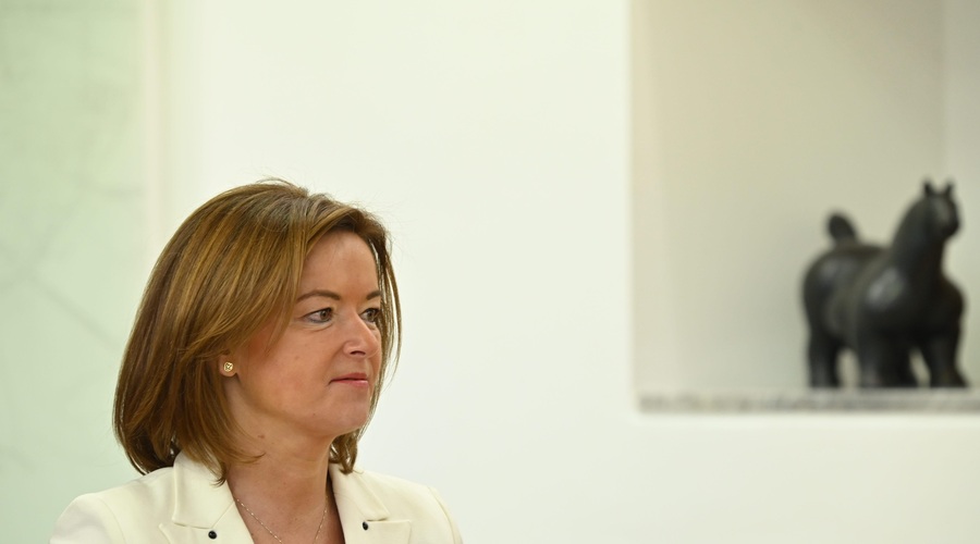 Tanja Fajon (foto: Bobo/Žiga Živulović jr.)
