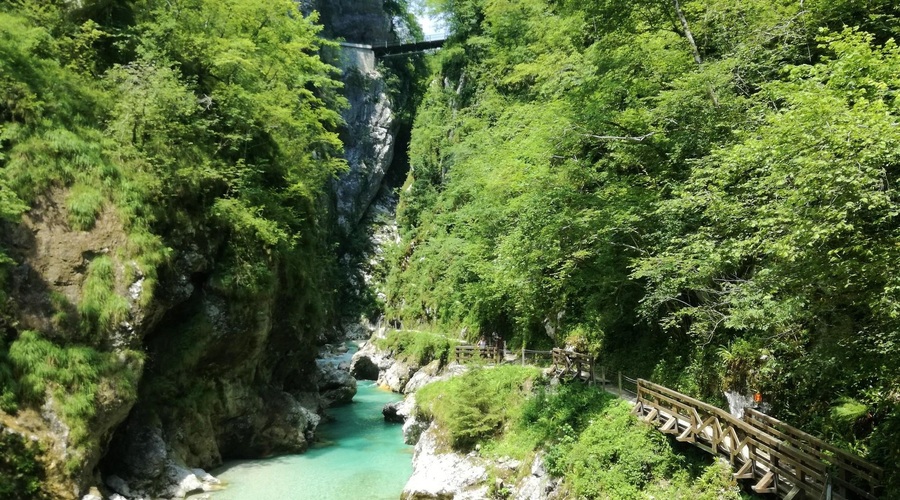 Razočarani turisti: obisk slovenske smaragdne lepotice ni mogoč, to pa je razlog (foto: M.P.)