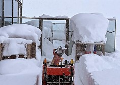 Sneg povzročil kaos pri severnih sosedih: podrta drevesa, težave v prometu, številni ostali brez elektrike ...