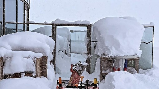 Sneg povzročil kaos pri severnih sosedih: podrta drevesa, težave v prometu, številni ostali brez elektrike ...