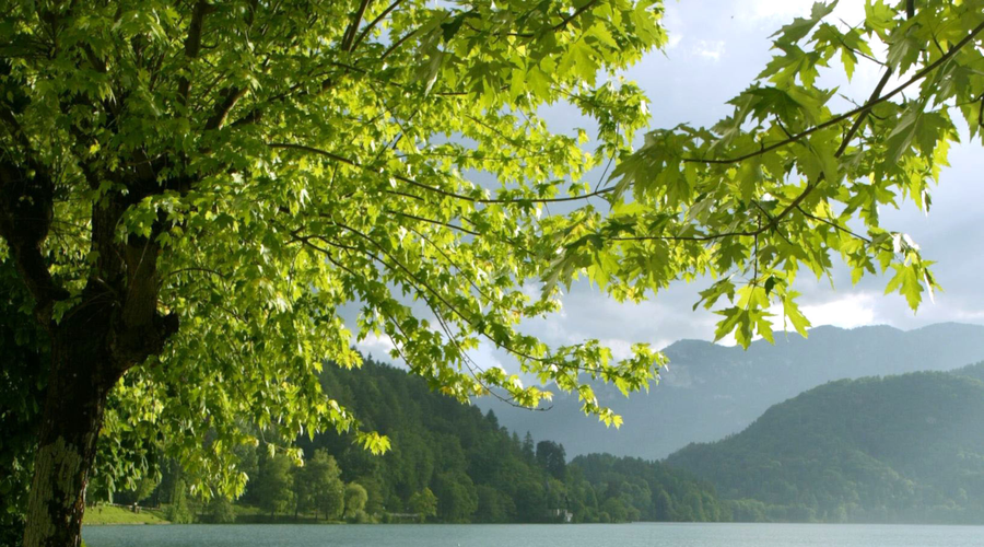Prvi od ledenih mož ni upravičil svojega imena, kakšno vreme nas čaka? (foto: Tina Kosec/Bobo)