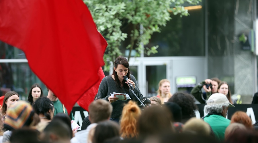 Protest v Ljubljani (foto: Borut Živulović/Bobo)