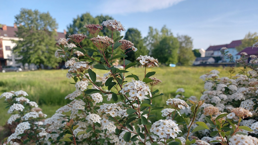 Znano je, kakšno bo vreme na praznični ponedeljek in kdaj lahko pričakujemo prve nevihte