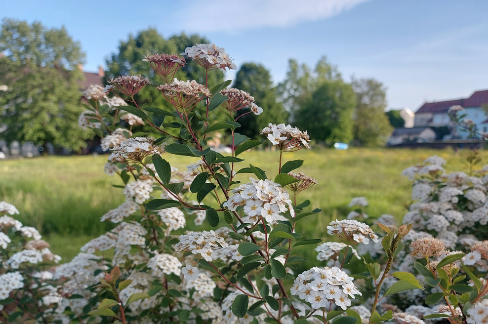 Konec kislega vremena: pred nami so prijetnejši dnevi (foto: Uredništvo)