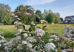 Znano je, kakšno bo vreme na praznični ponedeljek in kdaj lahko pričakujemo prve nevihte