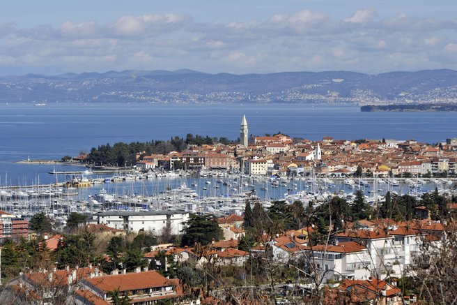 Izola