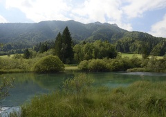 Kaj je skrivnost velikega temnega madeža na Savi Dolinki? Občani so v skrbeh, strokovnjaki pa pravijo ...