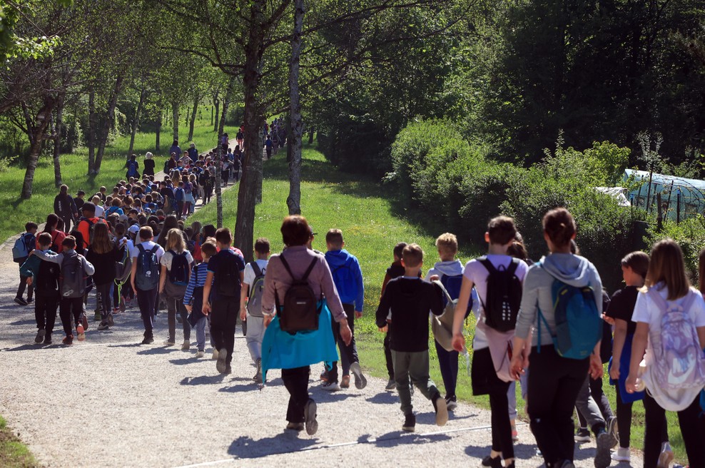 Pripravite se, v naslednjih dneh bo v Ljubljani oviran promet! (foto: Bobo)