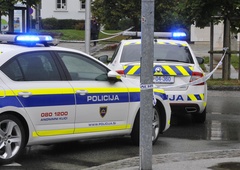 Našli osebo, ki je napovedala strelski napad na slovenski osnovni šoli