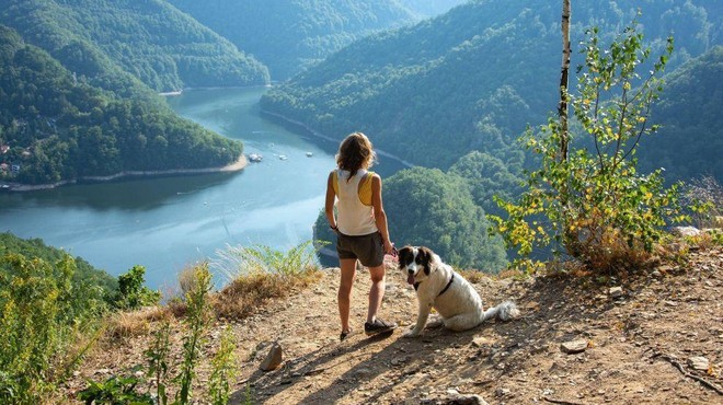 Se odpravljate s psom v hribe? Slovenski strokovnjaki odgovarjajo na 5 najpomembnejših vprašanj!