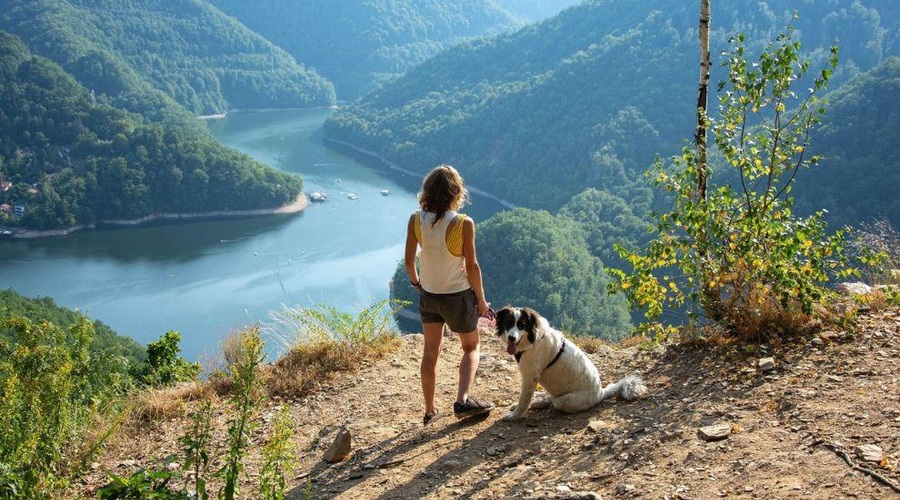Se odpravljate s psom v hribe? Slovenski strokovnjaki odgovarjajo na 5 najpomembnejših vprašanj! (foto: Profimedia)
